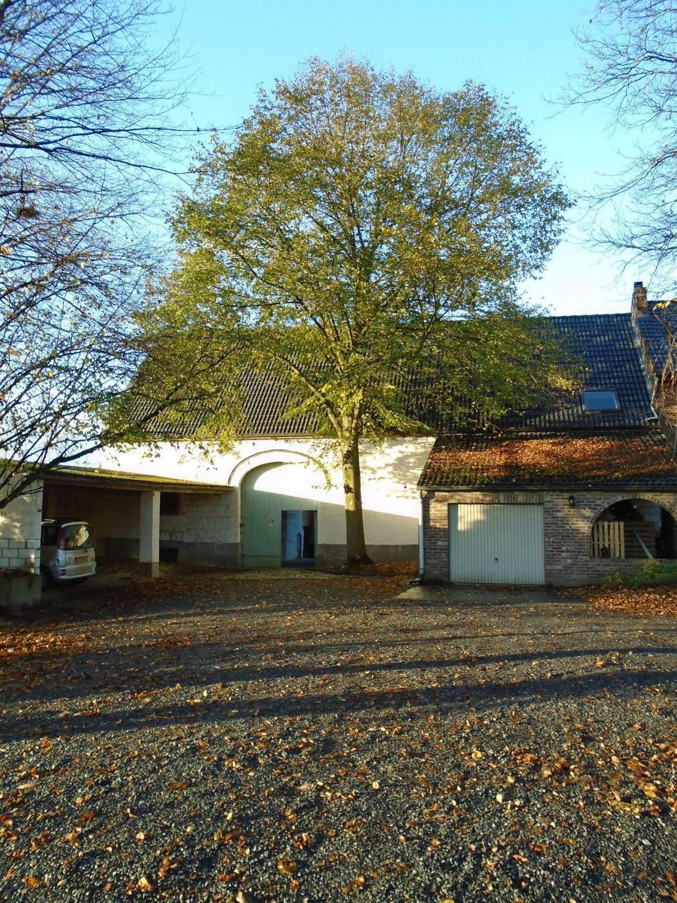 德欧德获奖住宿加早餐旅馆 里姆斯特 外观 照片